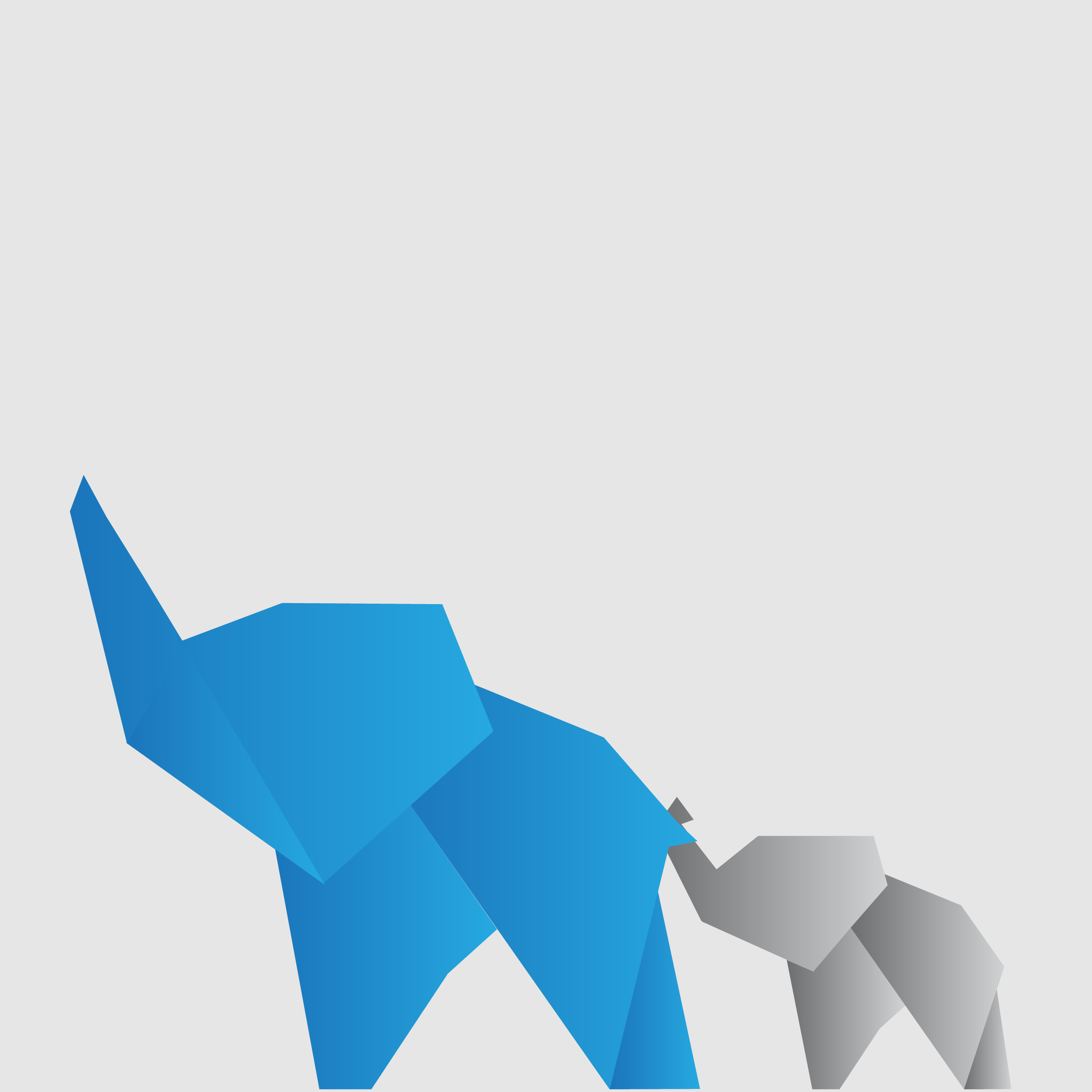 fallback image